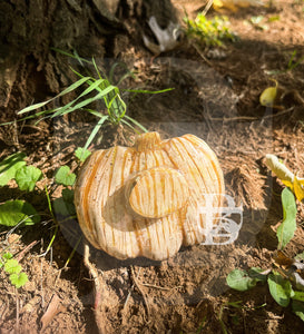 White and Gold Pumpkin Adult Pacifier