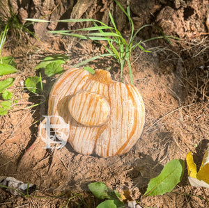 White and Gold Pumpkin Adult Pacifier