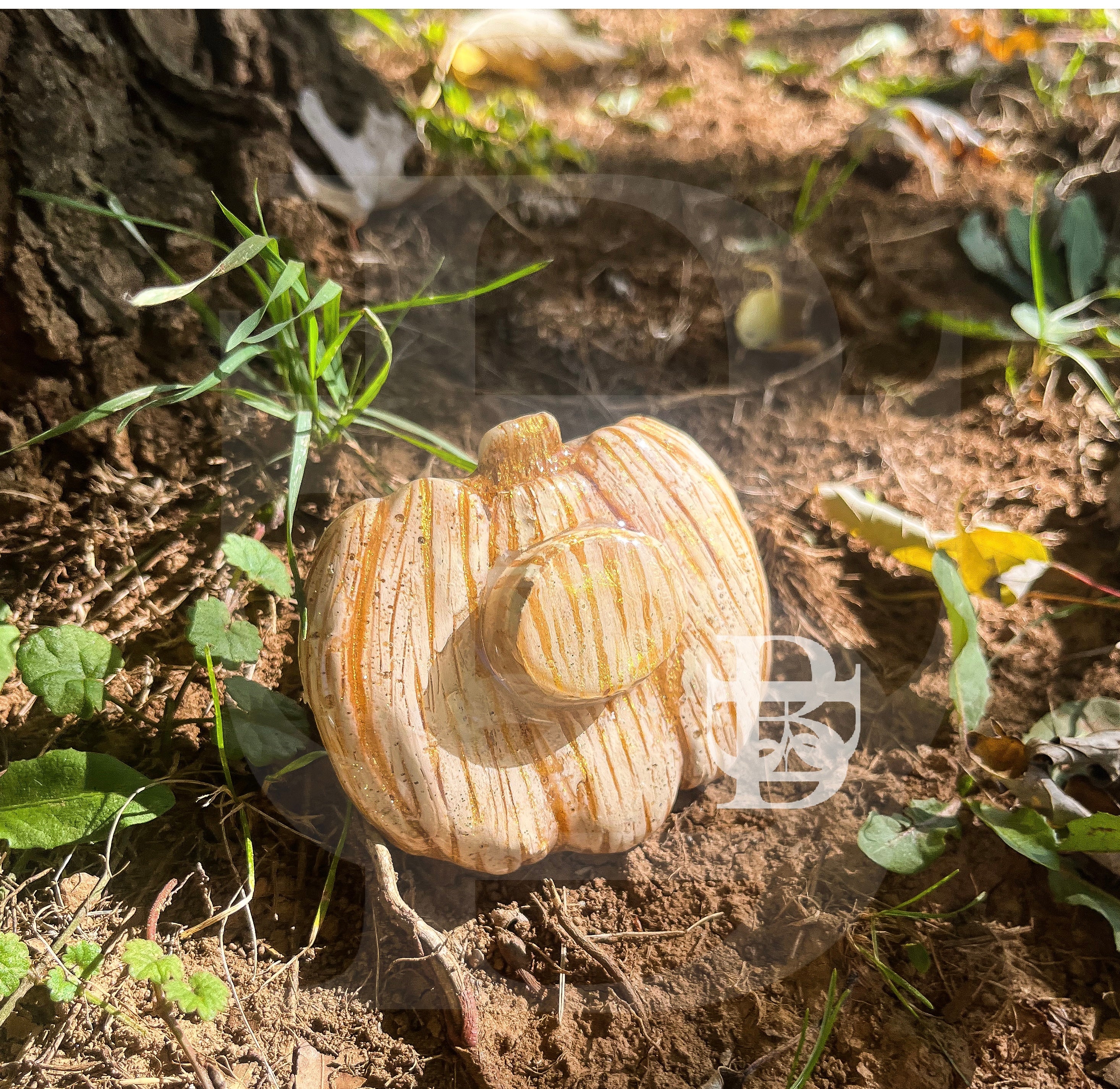 White and Gold Pumpkin Adult Pacifier